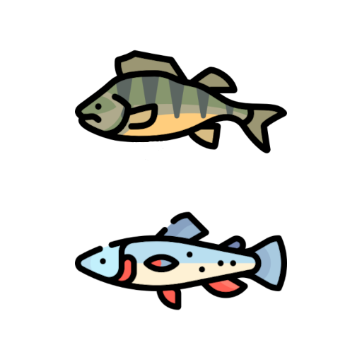 Spinningista BG06 for Perch & Trout