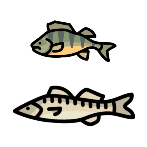 Spinningista BG09 for Perch & Zander