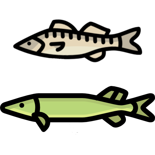 Spinningista HG11 for Zander, Pike & Perch