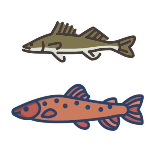 Spinningista ZG17 for big Zander & Huchen