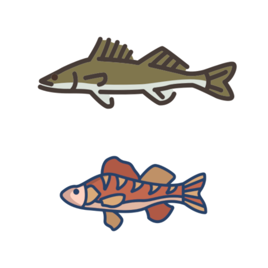 Spinningista ZG13 for Zander & Seabass