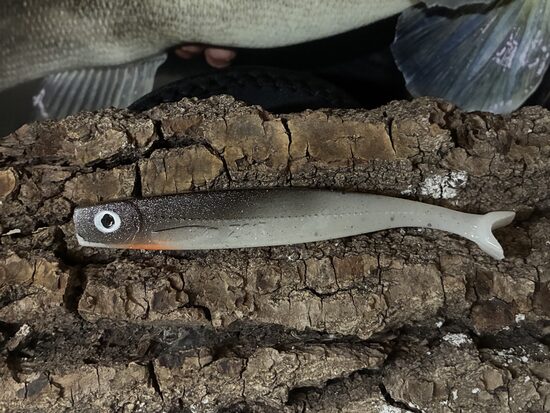 Spinningista ZG13 für Zander & Wolfsbarsch