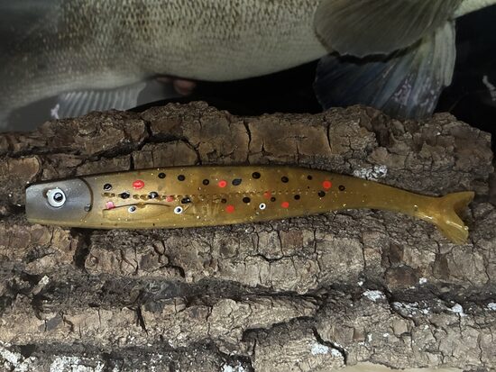 Spinningista ZG17 für Zander, Wolfsbarsch & Huchen